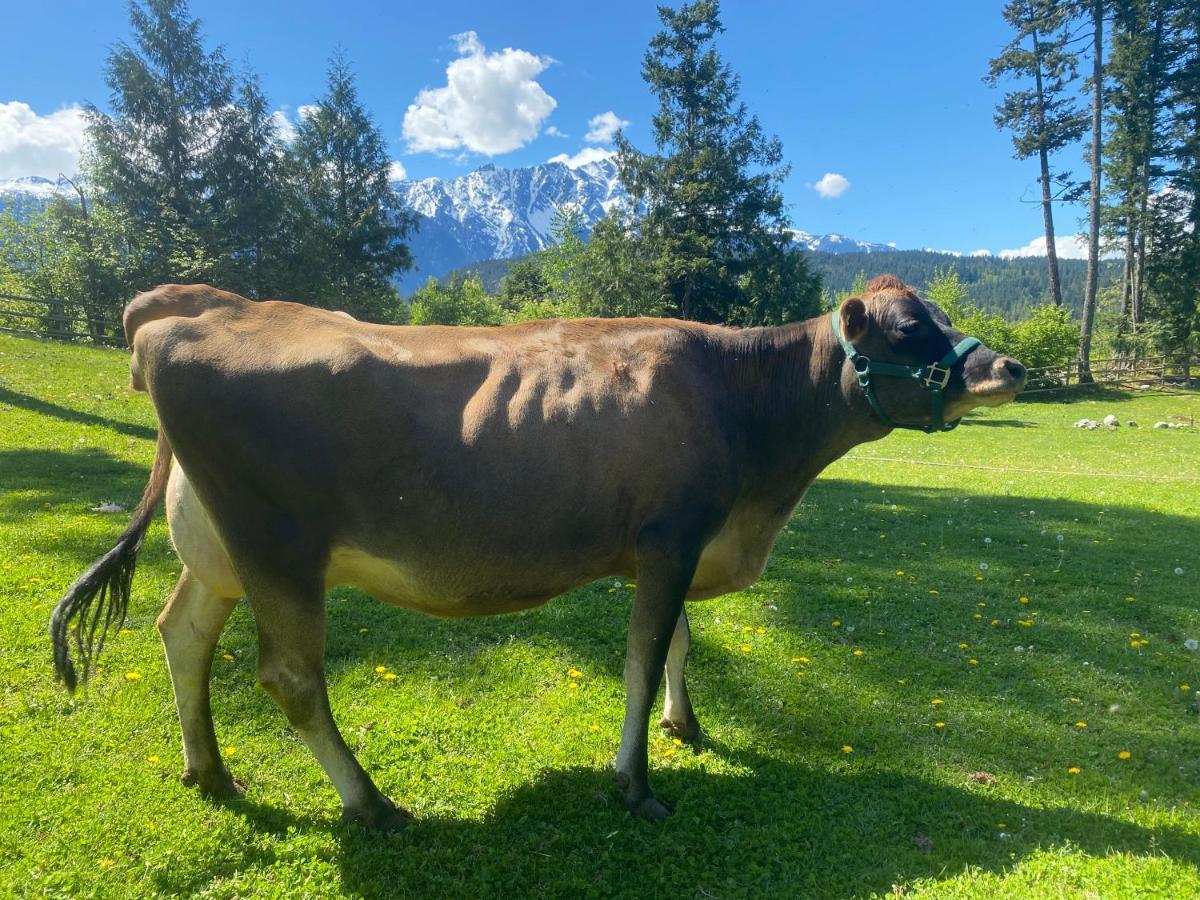 Willa Sweetwater Lane Farm Mount Currie Zewnętrze zdjęcie