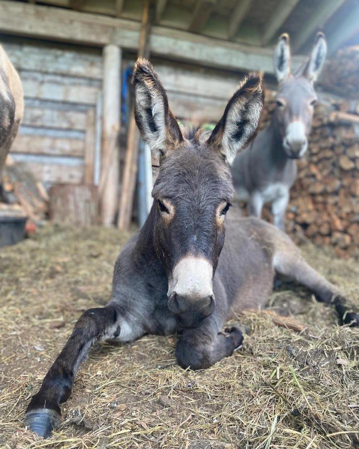 Willa Sweetwater Lane Farm Mount Currie Zewnętrze zdjęcie