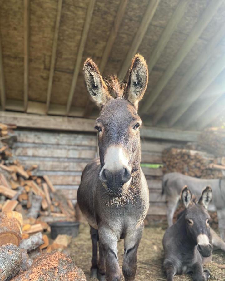 Willa Sweetwater Lane Farm Mount Currie Zewnętrze zdjęcie