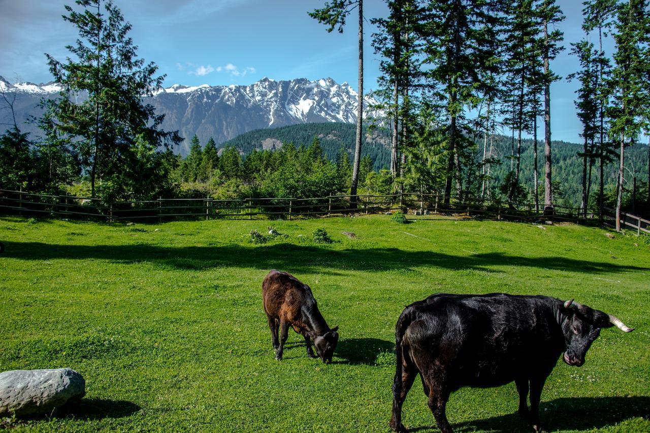 Willa Sweetwater Lane Farm Mount Currie Zewnętrze zdjęcie