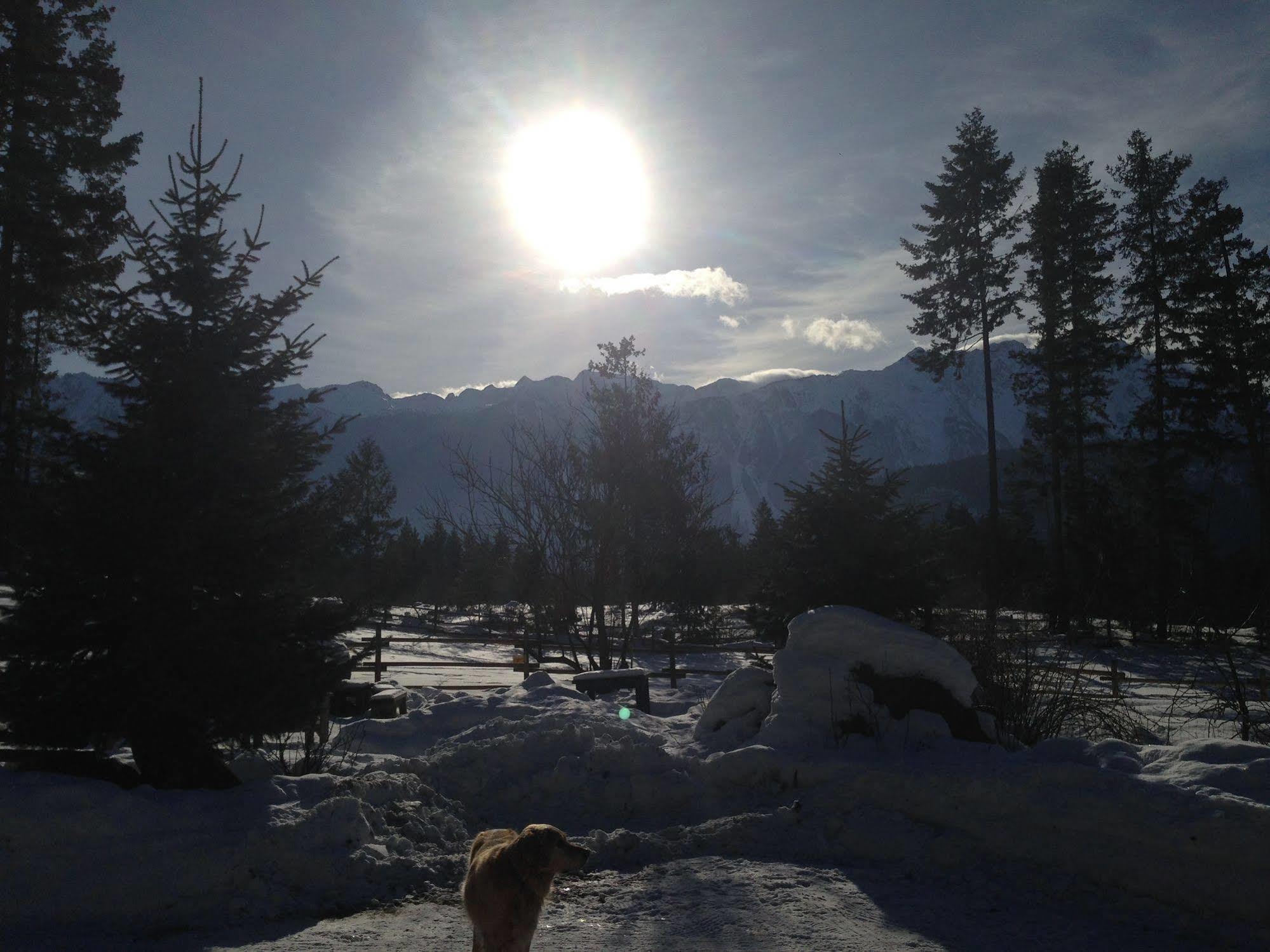 Willa Sweetwater Lane Farm Mount Currie Zewnętrze zdjęcie